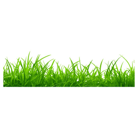 Green grass isolated on white background. Vector illustration. Eps 10.のイラスト素材
