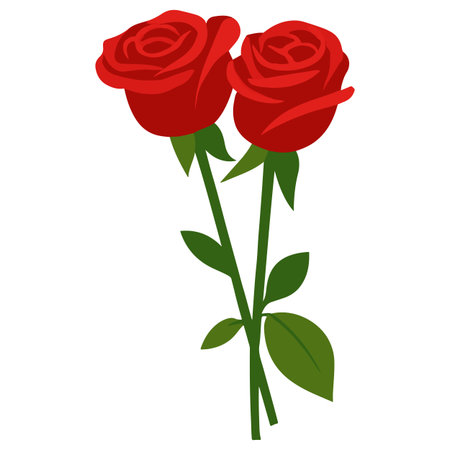 Red roses isolated on white background. Vector illustration. Eps 10.のイラスト素材