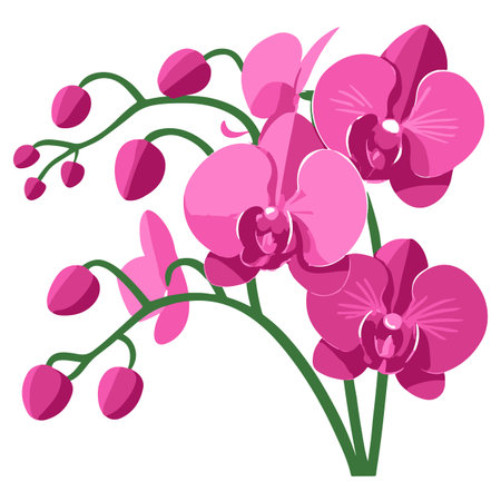 Pink orchid flowers isolated on white background. Vector illustration in flat style.のイラスト素材