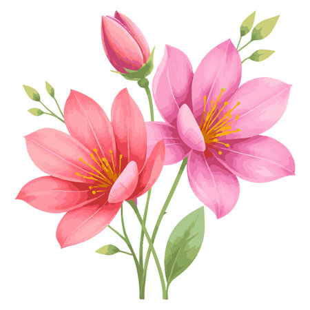 Beautiful pink magnolia flowers with green leaves. Vector illustration.のイラスト素材