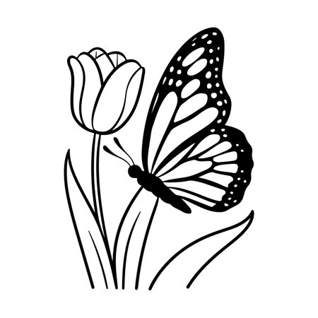 Tulip flower and butterfly. Black and white vector illustration.のイラスト素材