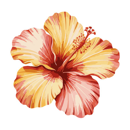 crescent moon with flowers and leafs decoration vector illustration graphic designのイラスト素材