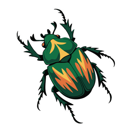 Summer beach set. Vector hand drawn illustration with hat, sunglasses, shorts and T-shirt.のイラスト素材