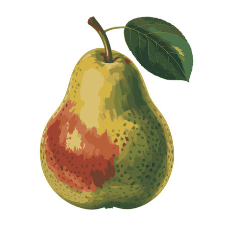 Rotten pear. Vector illustration of a ripe pear with a rotten fruit.のイラスト素材