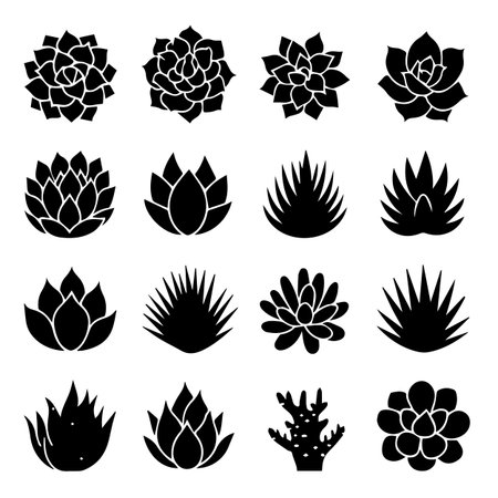 succulent icons set, simple black and white design, vector illustrationのイラスト素材