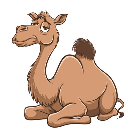 Cute camel sitting isolated on white background. Vector cartoon illustration.のイラスト素材