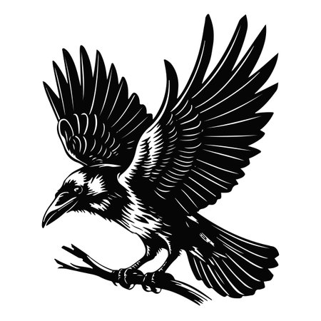 Vector image of a raven on a branch. Black and white version.のイラスト素材