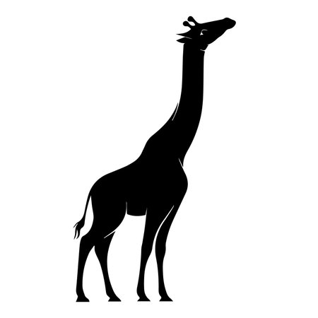 Giraffe black silhouette isolated on white background. Vector illustration.のイラスト素材
