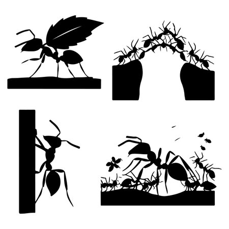 Ants and plants silhouettes on white background. Vector illustration.のイラスト素材