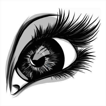 Vector illustration of an eye with long eyelashes in black and whiteのイラスト素材
