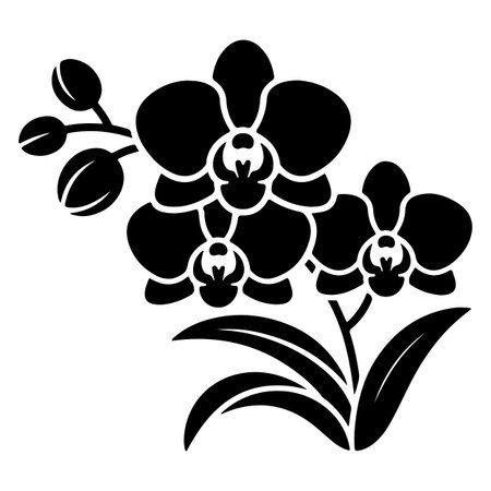 Black and white orchids on white background. Vector illustration.のイラスト素材