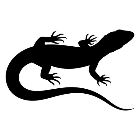 Lizard silhouette on a white background. Vector illustration for your design.のイラスト素材