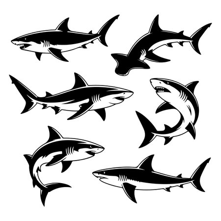 Set of sharks isolated on white background. Black and white vector illustration.のイラスト素材