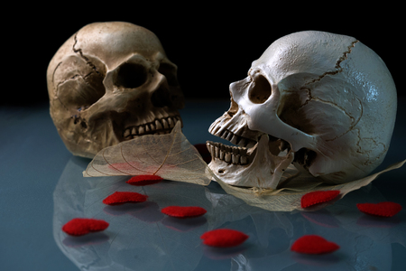 Two skull dry leaf and red heart in concept love never diesの写真素材