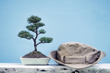 Phyllodium pulchellum in ceramic pots used to create bonsai..and hatの写真素材