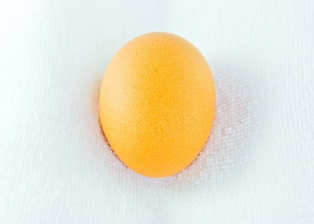Close up an egg on white towelの写真素材
