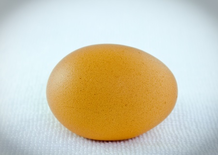 Close up an egg on white towelの写真素材