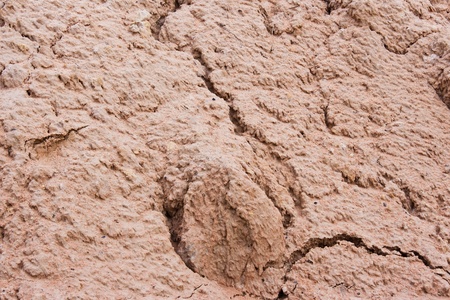 soil texture 