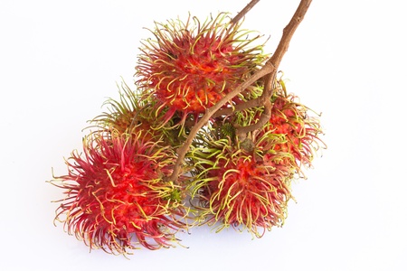 asian fruit rambutan on the plain background の写真素材