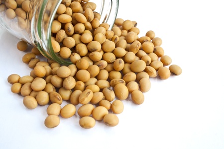soybean in bottle isolated on white background の写真素材