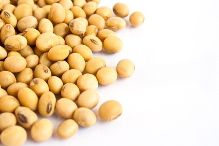 soy beans on white backgroundの写真素材