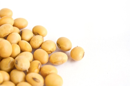 soy beans on white backgroundの写真素材