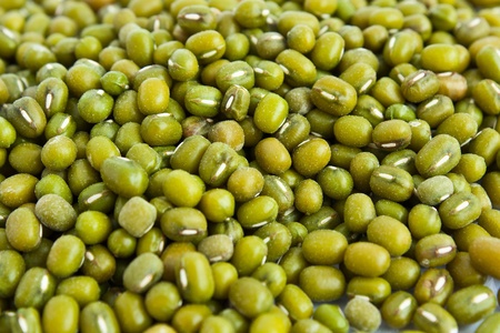 mung beans backgroundの写真素材