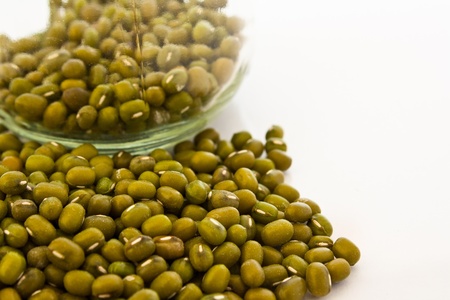 mung bean in a bottleの写真素材