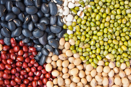 Various colorful dried legumes beans as background の写真素材