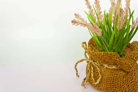 Decorative flower on white for relaxed backgroundの写真素材