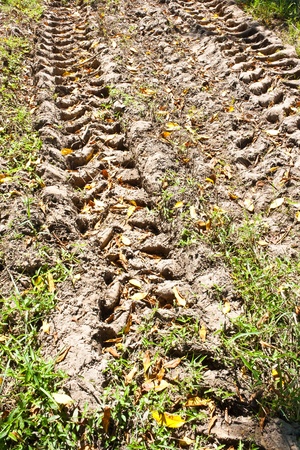Tire track of tractor on muddy roadの写真素材