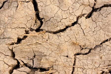 dried ground covered with cracks  background for designの写真素材