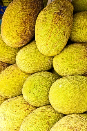 Jack fruit at the market in Thailand 