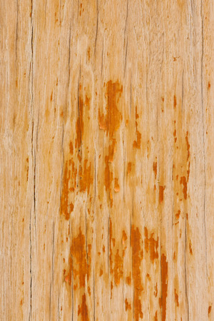 old painted orange and brown wooden backgroundの写真素材