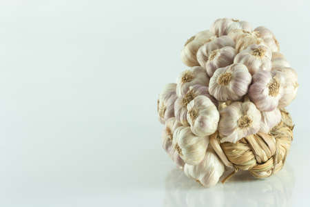 Garlic in bundles dried, Garlic braid isolated on white backgroundの写真素材