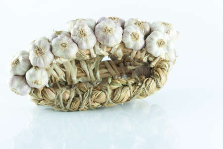 Garlic in bundles dried, Garlic braid isolated on white backgroundの写真素材
