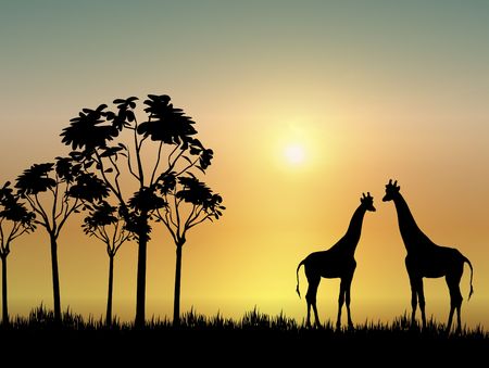 silhouette of two giraffes on grassy plain at sunriseの写真素材