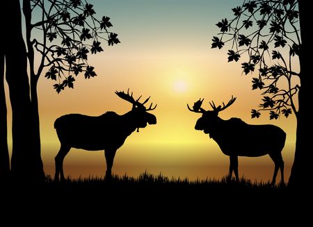 illustration of two moose in forest at sunriseの写真素材