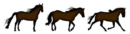 silhouette of horses standing, trotting, and gallopingの写真素材