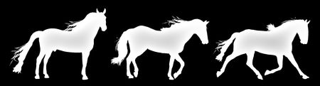 silhouette of horses standing, trotting, and gallopingの写真素材