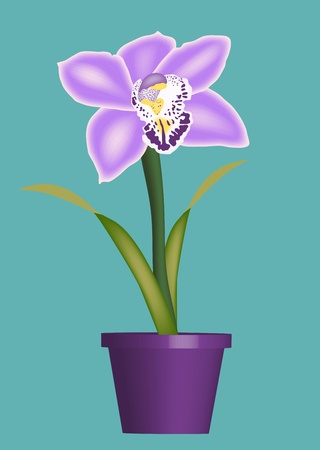 Colourful illustration of orchid in a potの写真素材