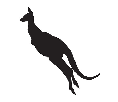 Silhouette of jumping kangaroo on white backgroundの写真素材