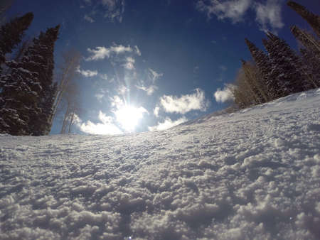 Morning sceneの素材