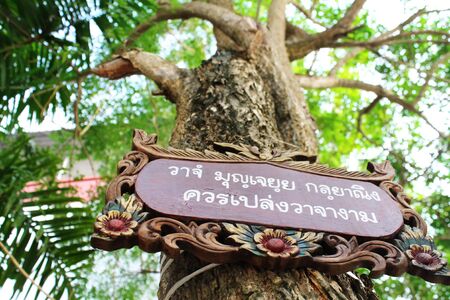 tabletのeditorial素材