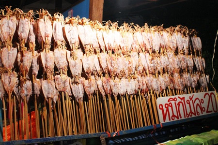 Squidのeditorial素材