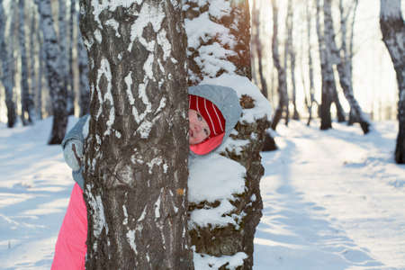 A little girl playing in a birch groveの写真素材
