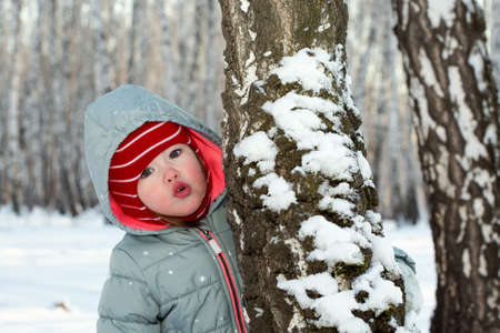 A little girl playing in a birch groveの写真素材