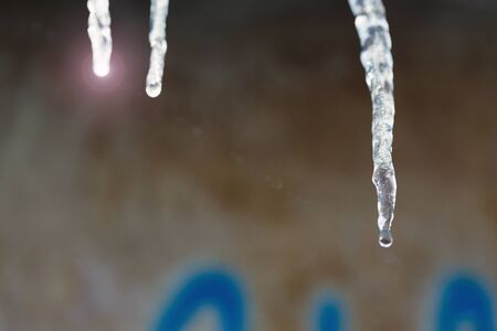 icicles spring water drops from a roof