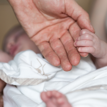 Photo of a newborn baby's hand holdind parent's fingerの写真素材