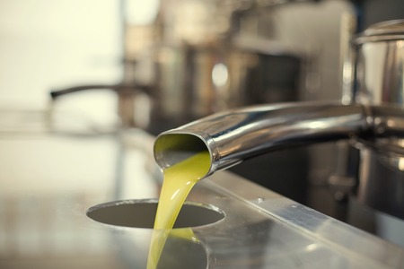 Oil is pouring from the tube at a cold-press factory after the olive harvesting in one of the cretan villages, Greeceの写真素材
